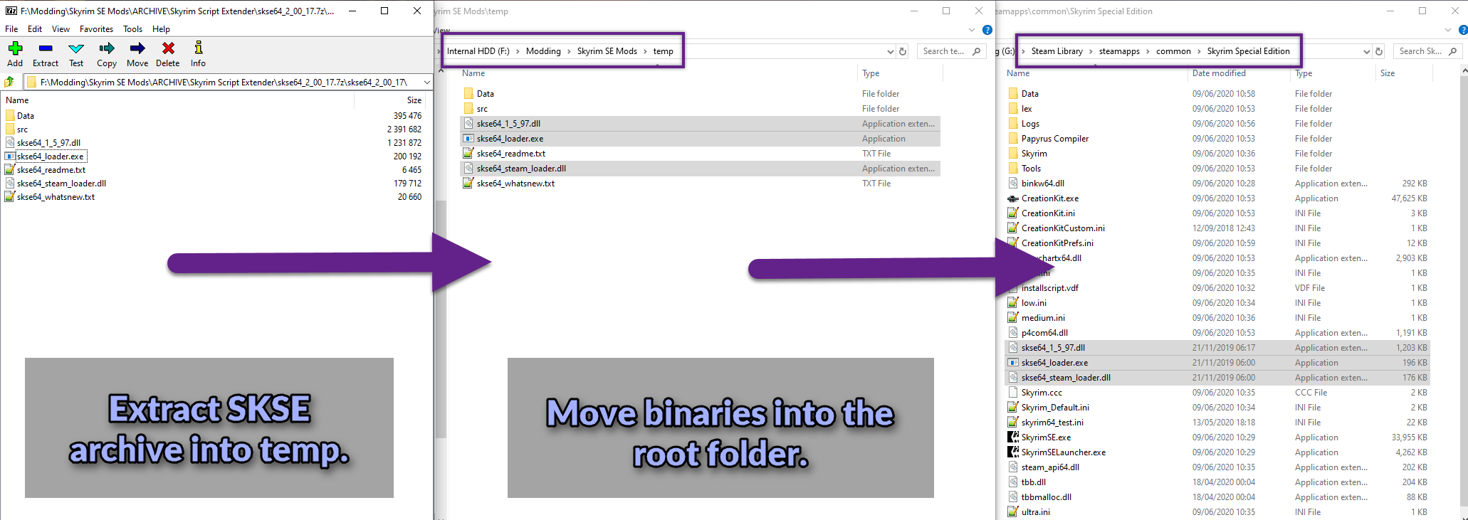 SKSE Binaries Installation